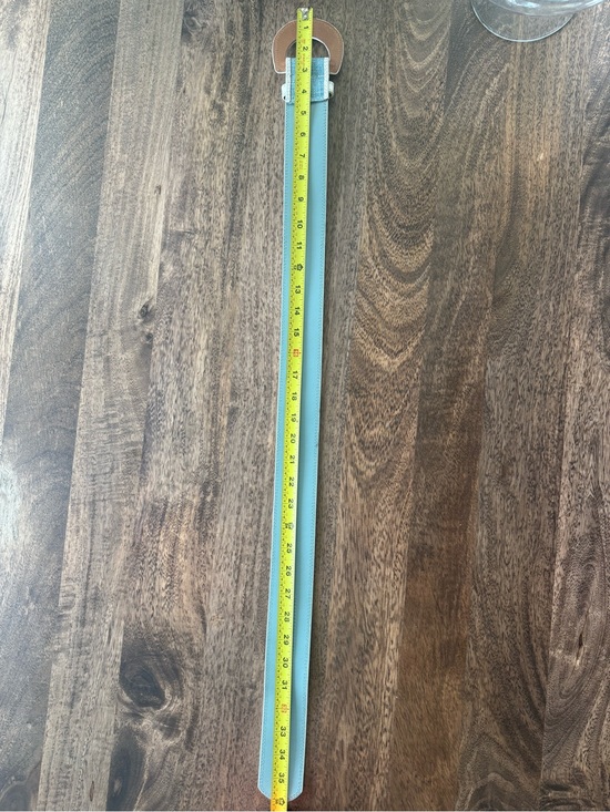 Anthropologie Blue & White Leather Belt